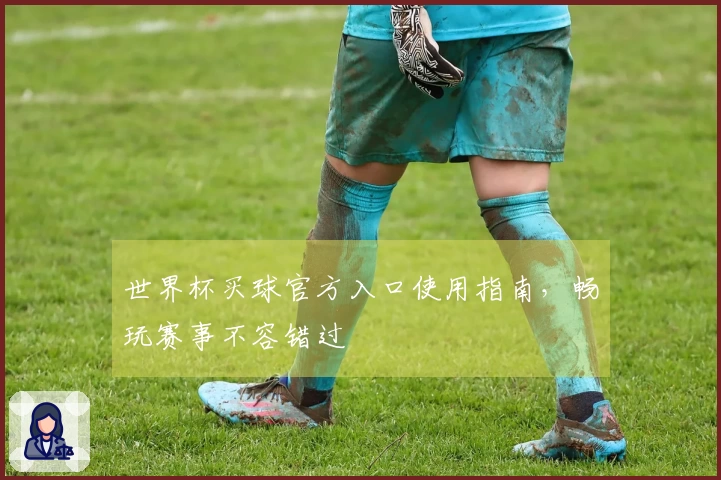 世界杯买球官方入口使用指南，畅玩赛事不容错过