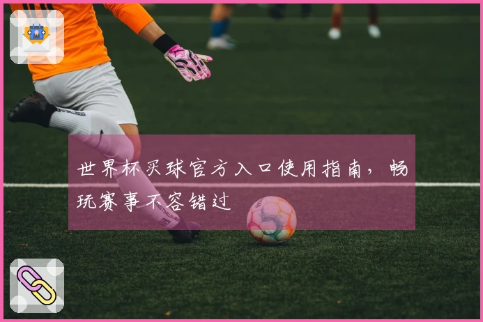 世界杯买球官方入口使用指南，畅玩赛事不容错过